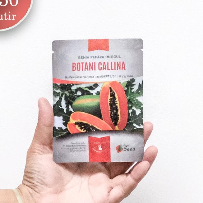 ➲ benih pepaya california asli IPB isi 150 terbaru ◙