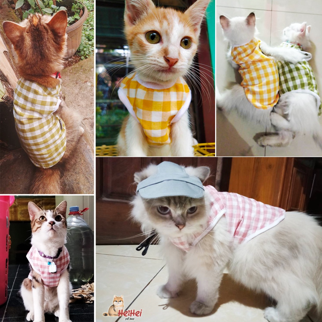 Bakuta Kaos Leivebee - Baju Kaos Kucing Tank Lucu - Baju Kucing Kitten All Stage- Cat T-Shirt Termurah