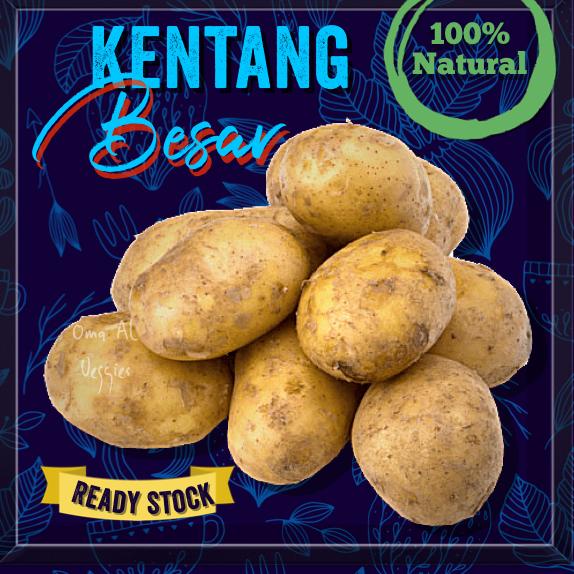 

Terlaku... KENTANG BESAR / BIG POTATO Per 500 gram SAYURAN SEGAR