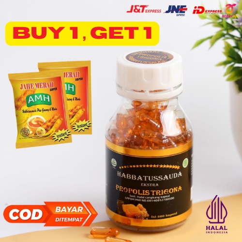 Habbatussauda Extra Propolis Trigona BOS 200 Kapsul Suplemen Kesehatan | Jinten Hitam | ORIGINAL | 3IN 1 Trigona