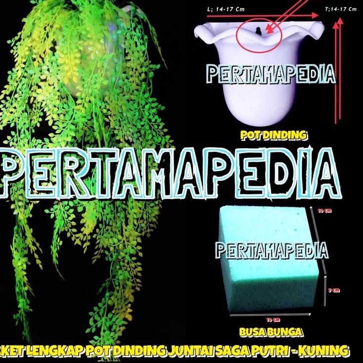 IlL DAUN JUNTAI SAGA PUTRI/ Bunga Plastik/ Daun Rambat Plastik/ Busa Bunga/ Daun Rambat/ Rumput Plas