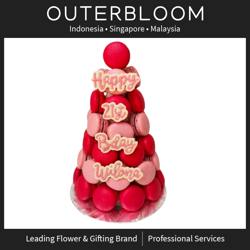 

Outerbloom Le Sucre Customized Color Simple Macaron Tower