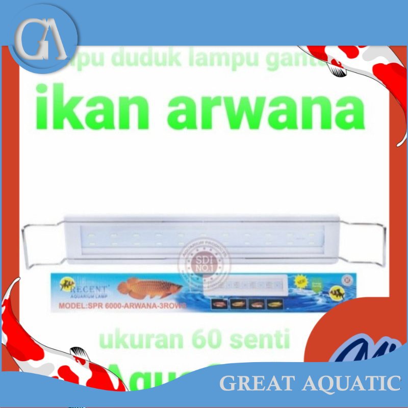 lampu spr recent 6000 lampu aquarium ikan arwana lohan ikan kelas
