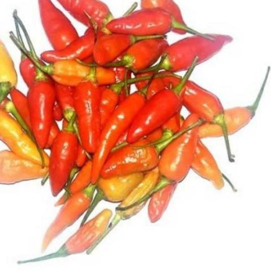 

➴ Cabe / cabai rawit merah - 500gram ♬