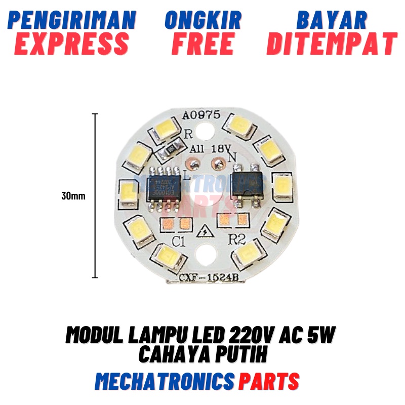 Modul Lampu LED 220V AC Cahaya Putih