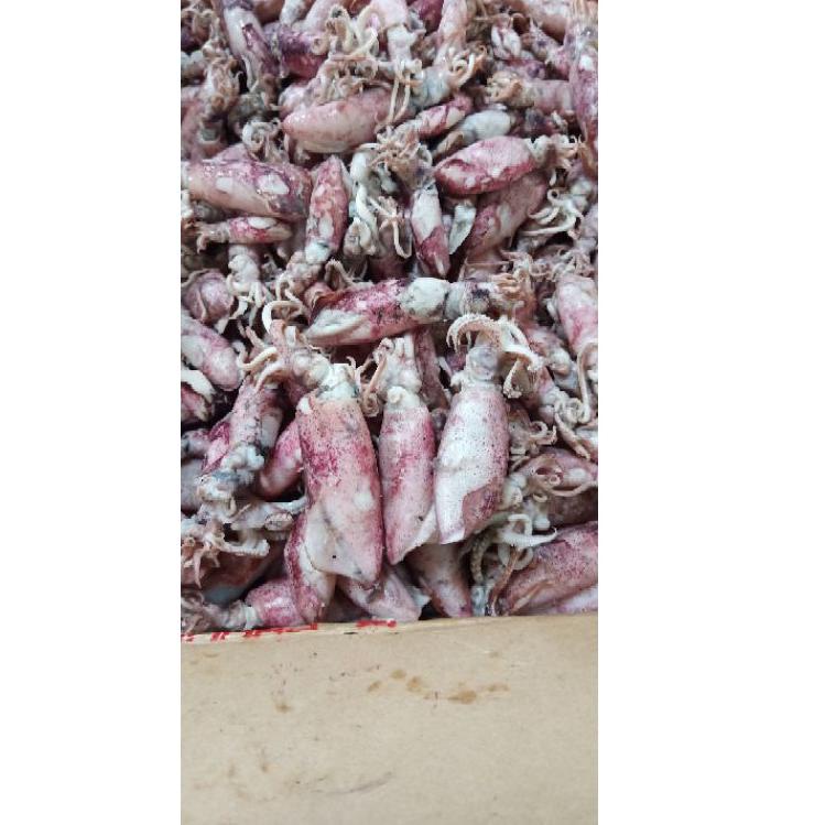

❃ Cumi asin 1kg Termurah/cumi asin rebus/ikan asin cumi ۞