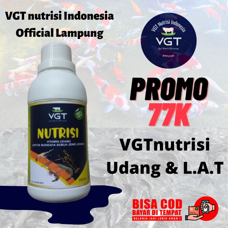 VGT Nutrisi Probiotik udang vitamin udang pertumbuhan udang enzim udang obat virus udang obat jamur 