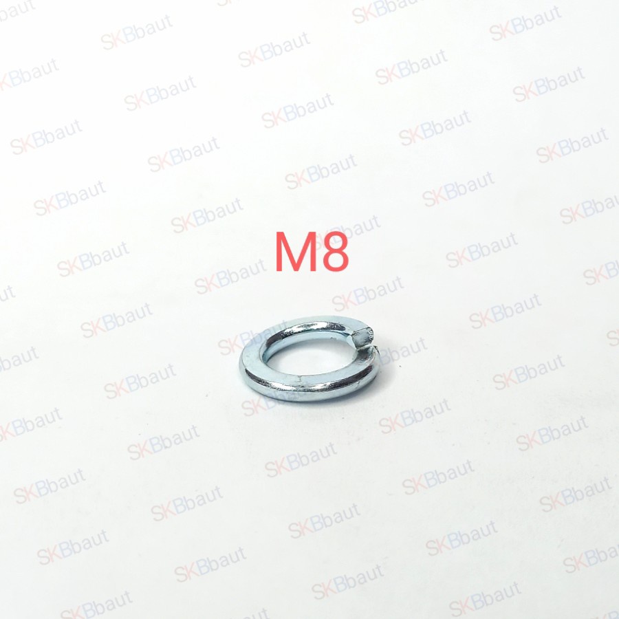 Ring Ver Per/Spring Washer M8