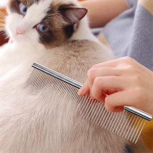 SISIR STAINLESS hewan anjing kucing anjing kelinci / Pet brush comb