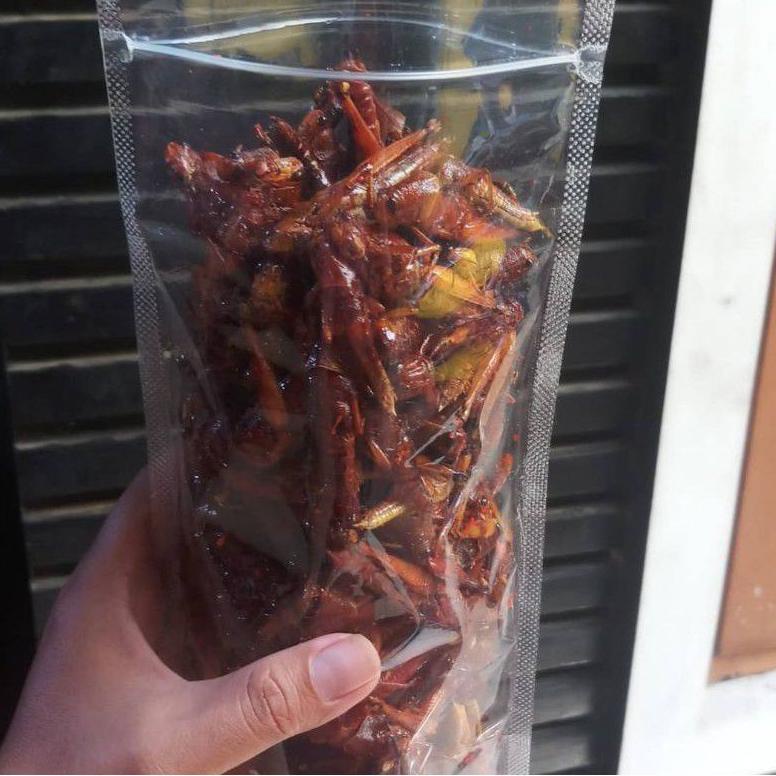 

B80 BELALANG GORENG / WALANG GORENG / BELALANG BESAR - KEMASAN INCIP 35 gr. TOP PRODUCT ぐ
