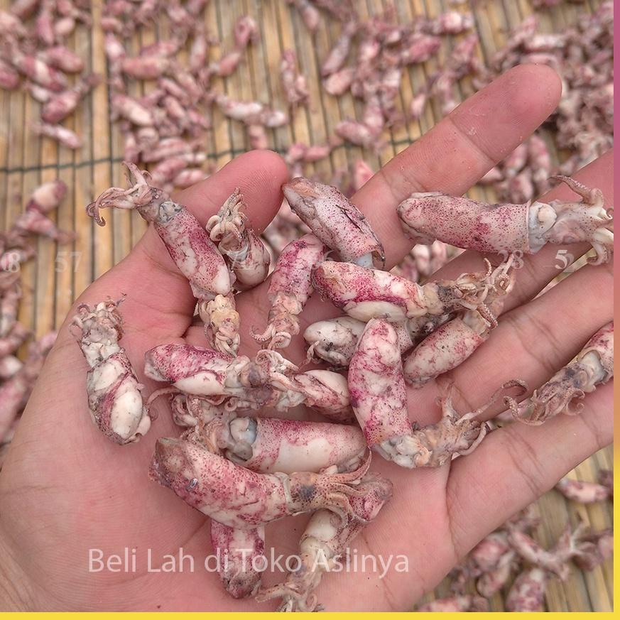 

♨ Baby Cumi Rebus Asin - Ikan Asin 1Kg ✪