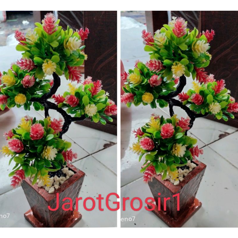 HIASAN SUDUT RUANGAN+POT+BATU // BUNGA HIAS MEJA // BONSAI BOLA SEMANGGI PINUS TINGGI 30CM