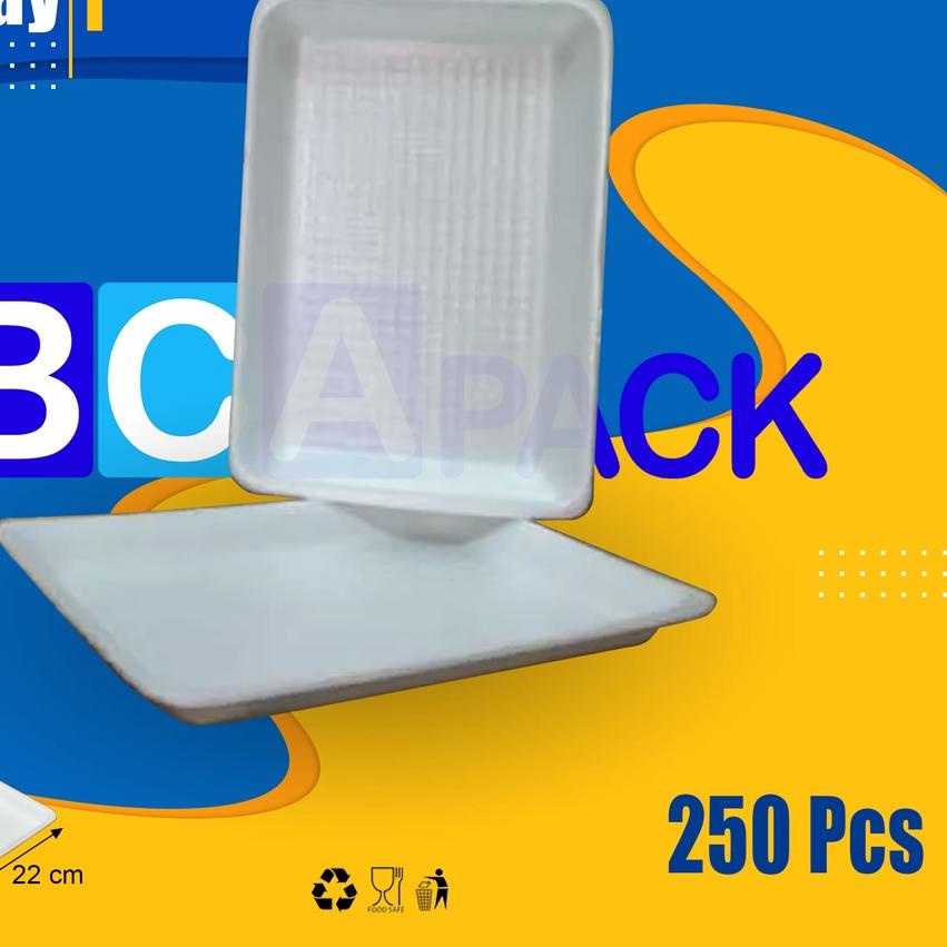 ➭ FOAM TRAY TR-1 STYROFOAM TRAY BUAH TR 1 / TR1 ISI 250 SET ✱