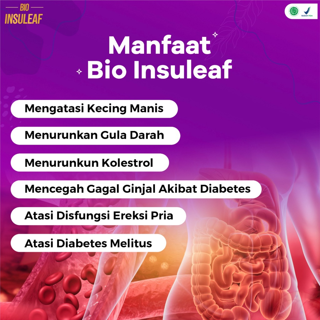 Bio Insuleaf - Herbal Diabetes Cepat Atasi Gula Darah Kencing Manis Kolesterol Asam Urat BPOM 250ml