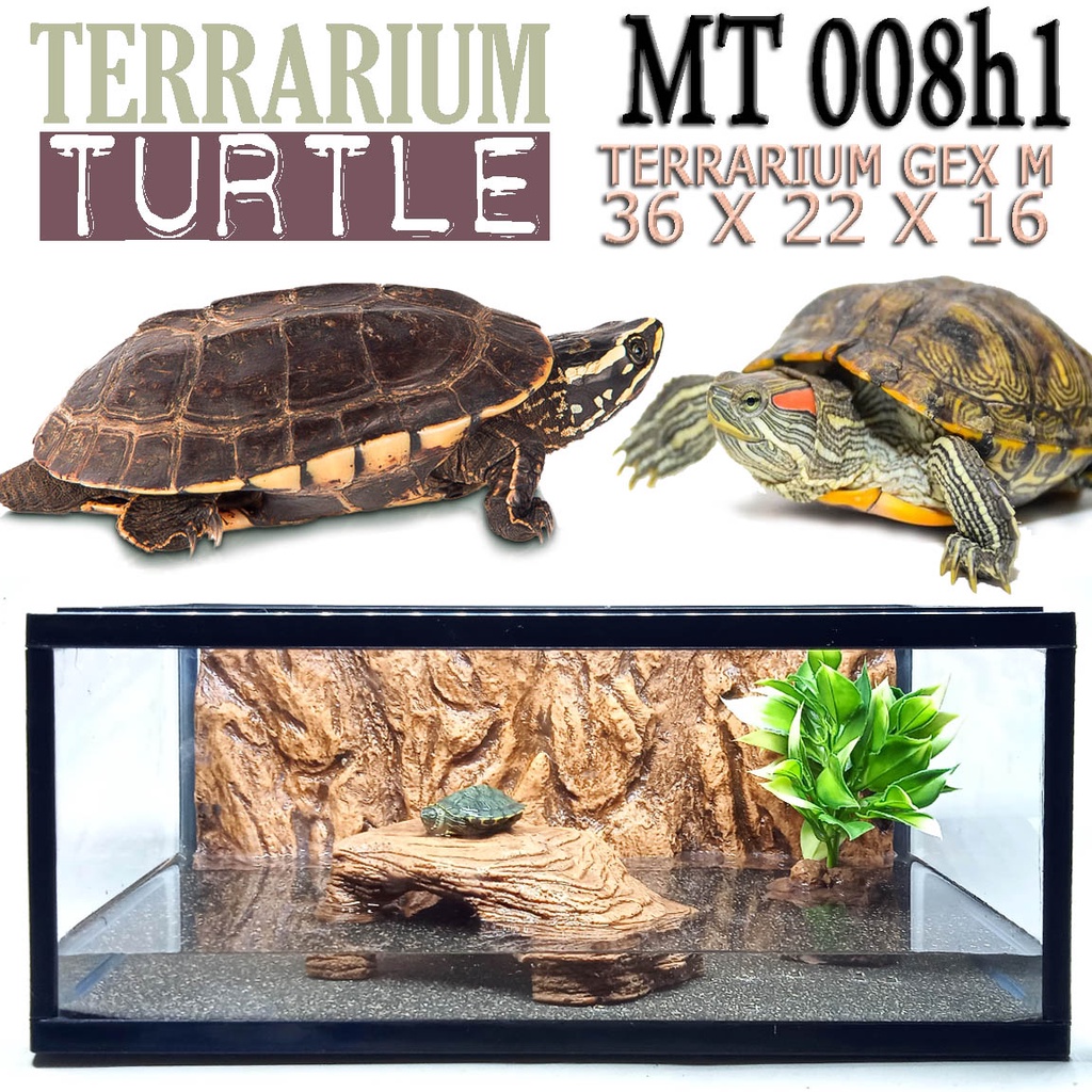 MT008H1 AKUARIUM TERRARIUM REPTILE KANDANG KURA KURA AIR TURTLE RES BRAZIL KURA AMBON DAMER ENCLOSUR