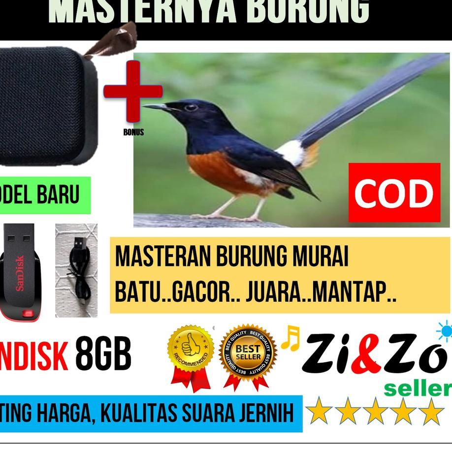 ♪ Speaker Mini T5 USB 8GB Bonus Isi MP3 Masteran Burung Murai Batu Gacor ➪