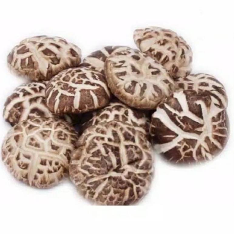 

[W95F] jamur shintake kering/ Hyoko Besar 100g
