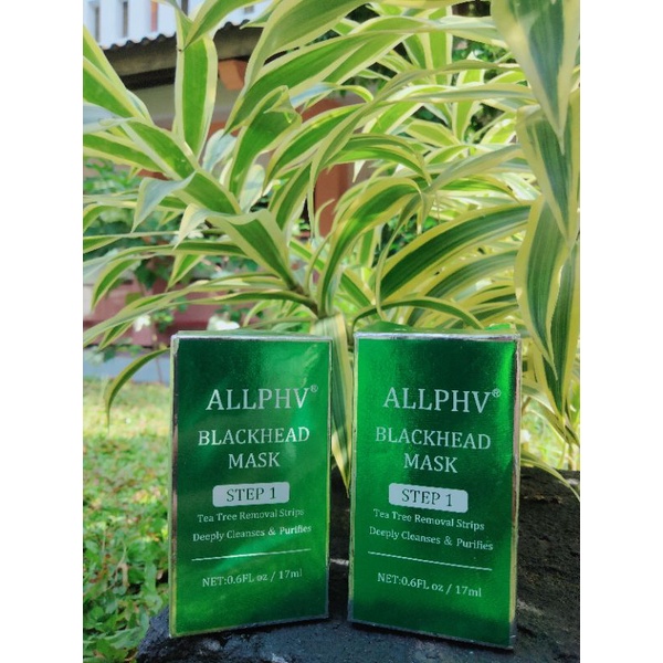BLACKHEAD MASK