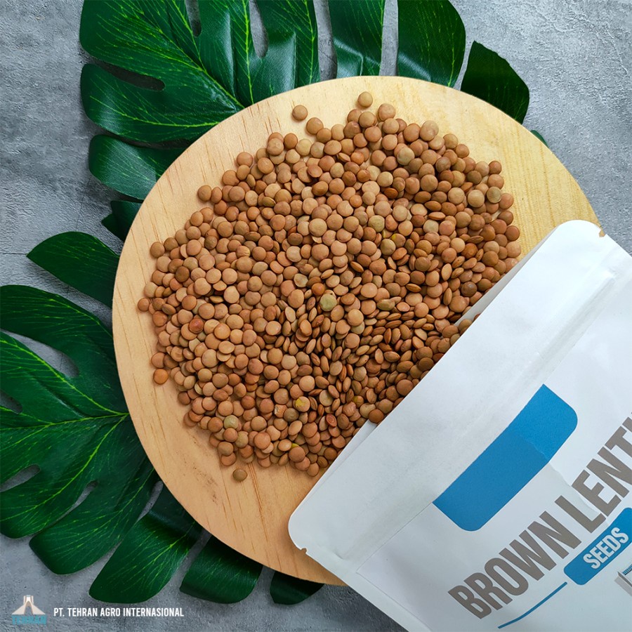 

Organic Brown Lentils - Kacang Lentils Cokelat - 500 Gr