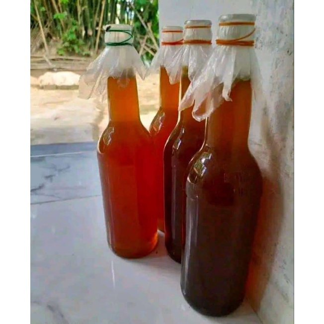 

Madu Ternak Madura