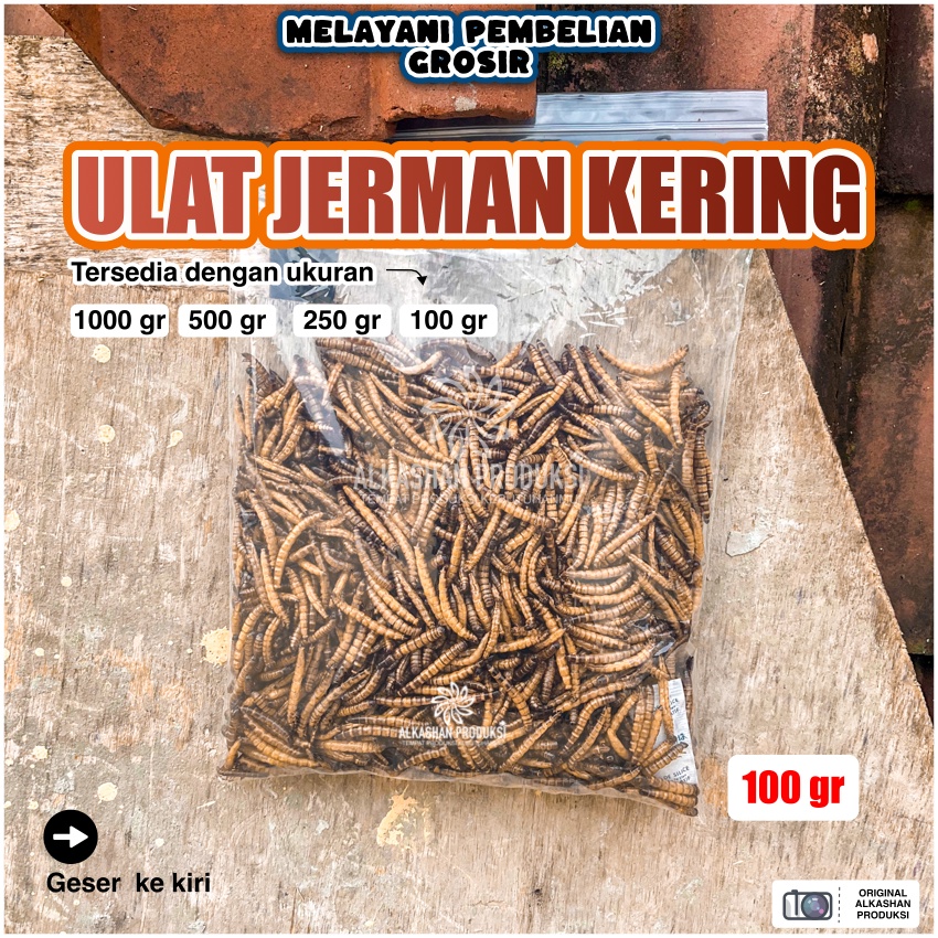 ULAT JERMAN KERING 100 GRAM
