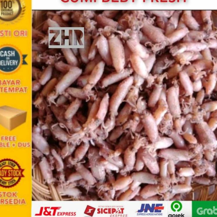 

➧ Cumi beby fresh 1kg baby cumi ✧