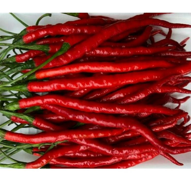 

Ω Cabe merah keriting 1 kg ☎