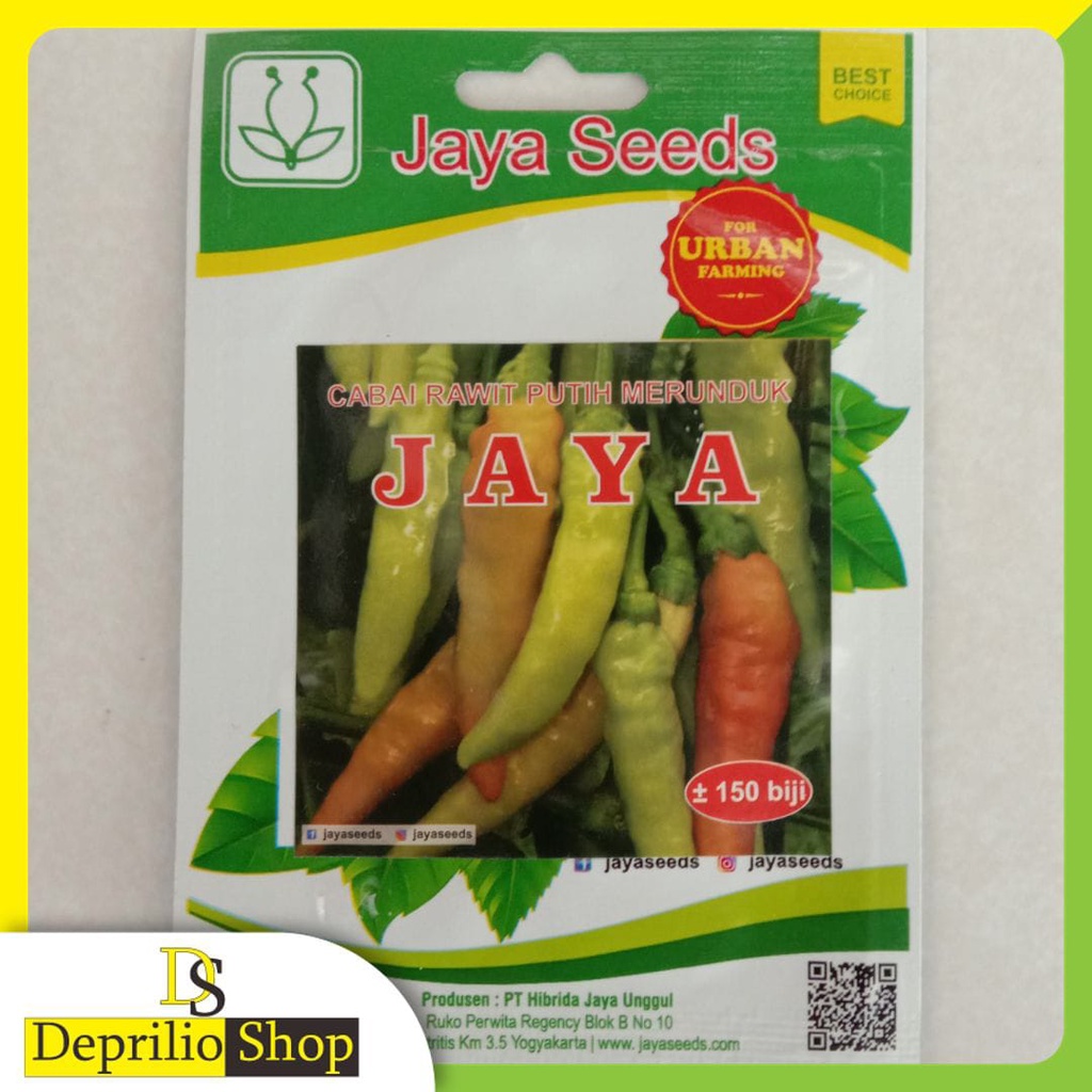 Benih Cabe Rawit Jaya Seed Putih Merunduk JAYA
