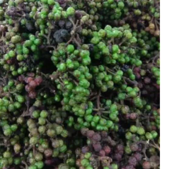 

▲ Andaliman 150gr ✥