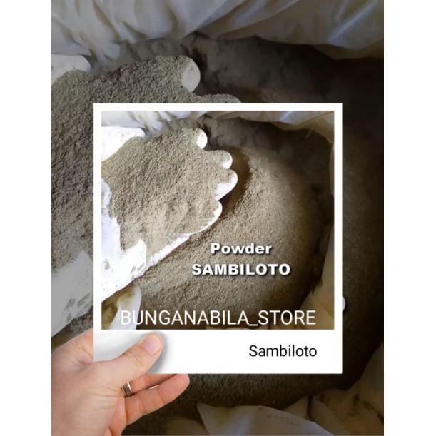 

Bubuk Sambiloto Murni 500gr