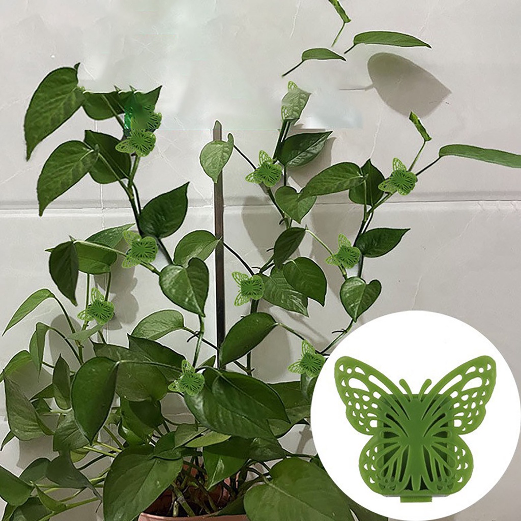 10pcs Butterfly Plant Climbing Wall Clips Self-Adhesive Garden Plant Climbing Growth Fixer Untuk Tanaman Rambat