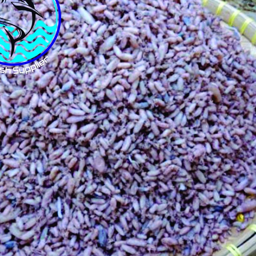 

♗ Baby Cumi / Cumi Asin Fresh 1kg ✪