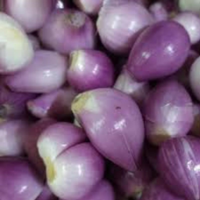 

Bawang Bantaeng kupas