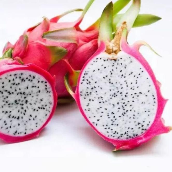 

❂ Buah Naga putih Dragon white 1 kg ♠