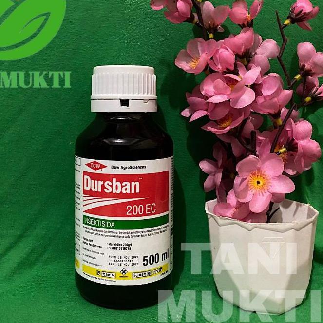 ۞ Dursban 200 EC 500 ml Insektisida  ➵