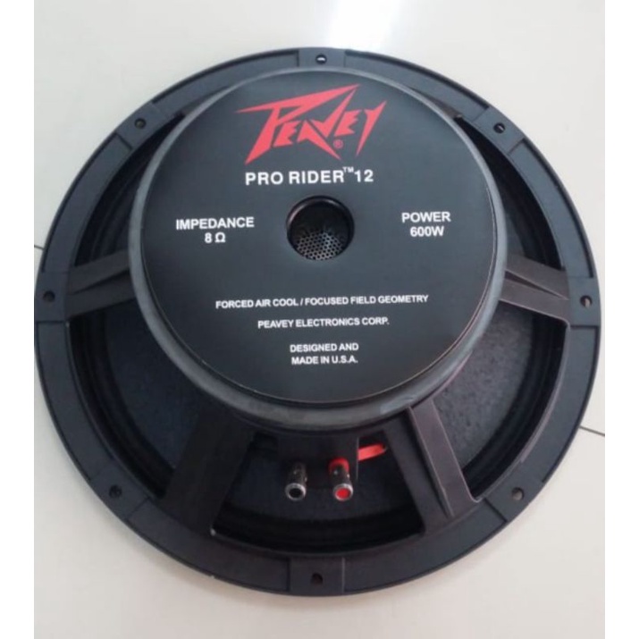 Speaker 12 In Peavey Pro Ryder 600 Watt