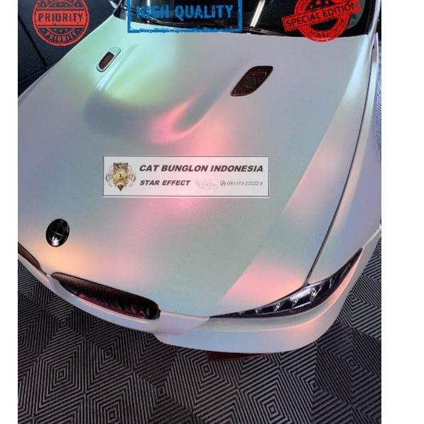 Diskon Terkini CAT BUNGLON PUTIH