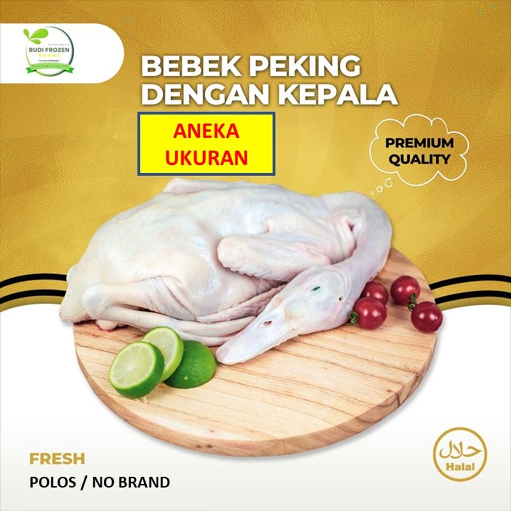 

BEBEK PEKING / DAGING BEBEK ANEKA UKURAN