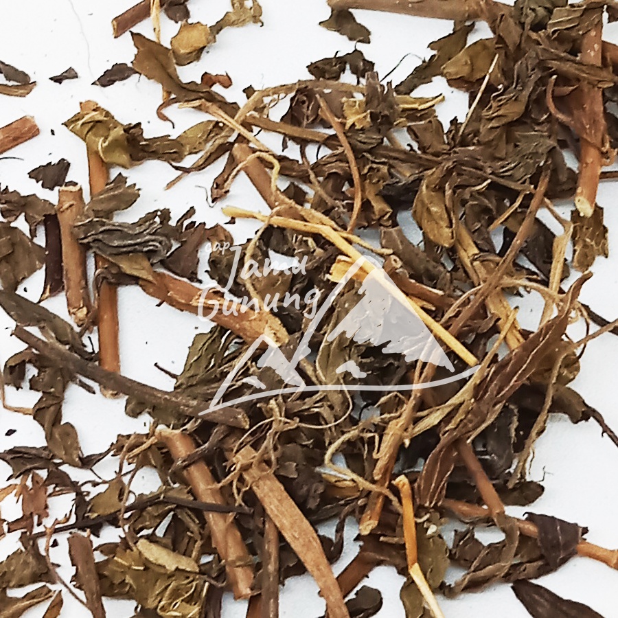 

Kumis Kucing Kering 500gr Herbal Organik