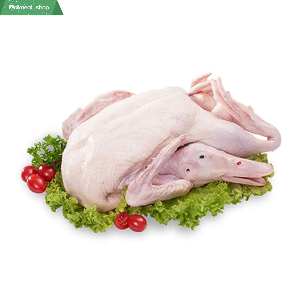 

Bebek Peking Golden (I) 2 - 2.24 Kg