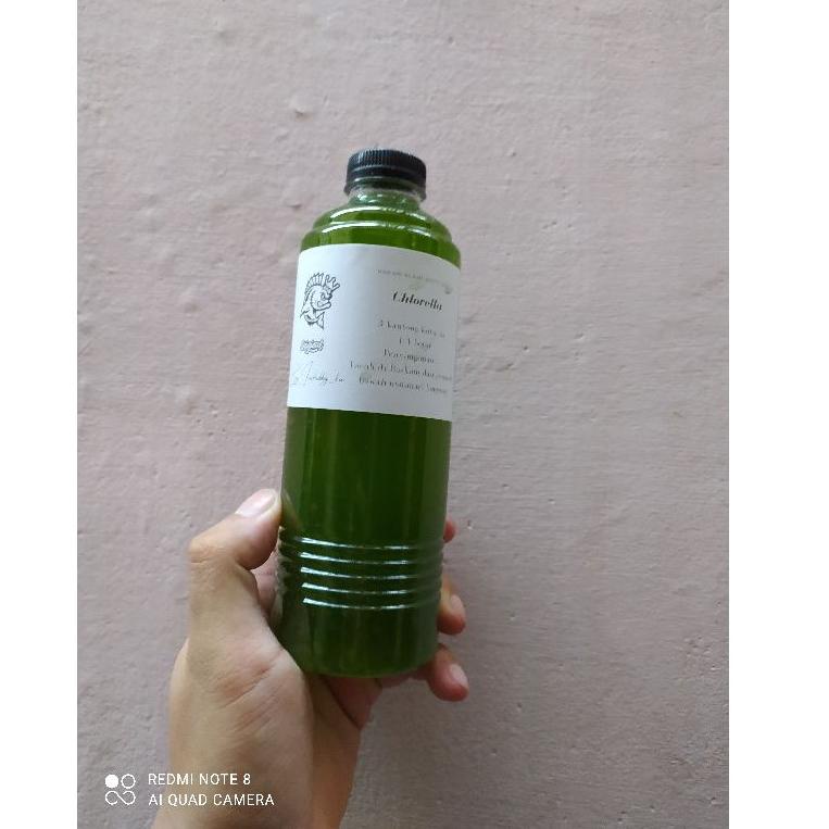 

W78 Chlorella atau green Water HOT PRODUCT ぶ