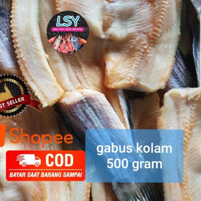

◌ ikan asin gabus kolam size besar 500gr Ω