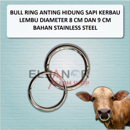 Bull Ring Anting Hidung Sapi - Cattle Nose Ring Stainless Steel Berkualitas
