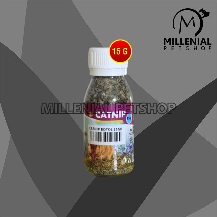 Catnip Serbuk Botol 15gr Alami Untuk Kucing Cat Nip Organik