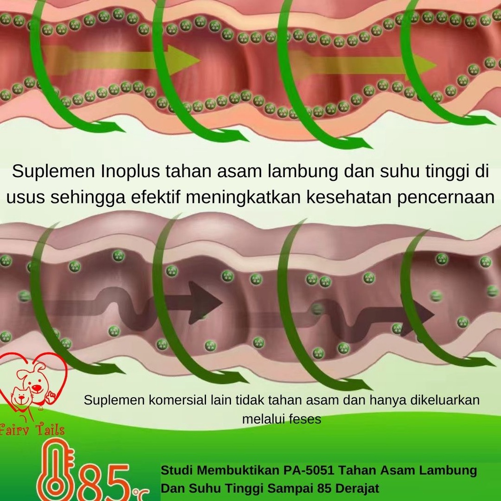 Probiotik Suplemen Bubuk Untuk Anjing Anabul Menyembuhkan Diare dan Konstipasi Ringan Untuk Kesehatan Pencernaan / Probiotic Supplement for Dog