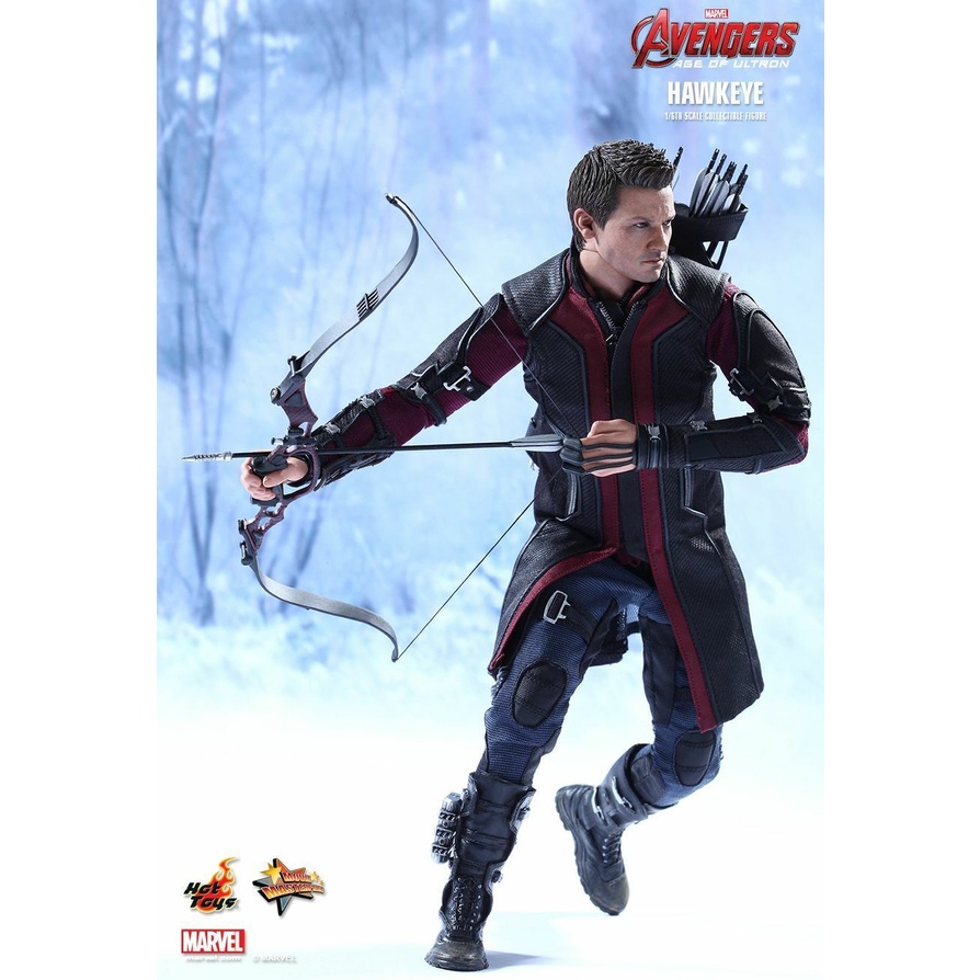 Hot Toys 1/6th Scale  Avengers Age Of Ultron Hawkeye MISB