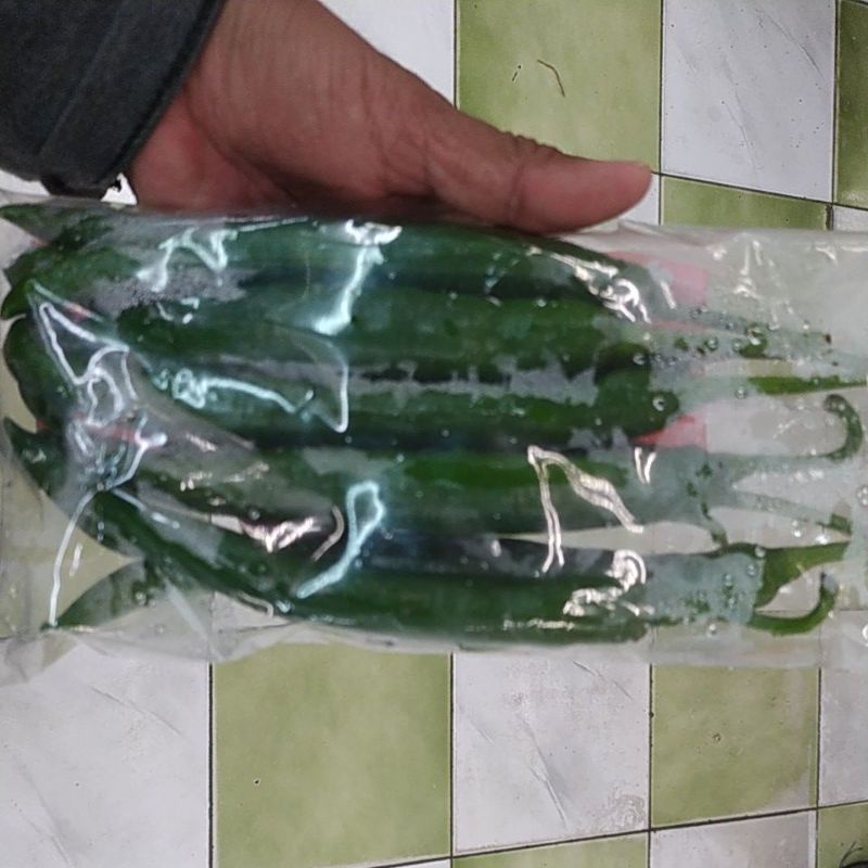 

CABE HIJAU BESAR 250 GRAM DENPASAR BALI