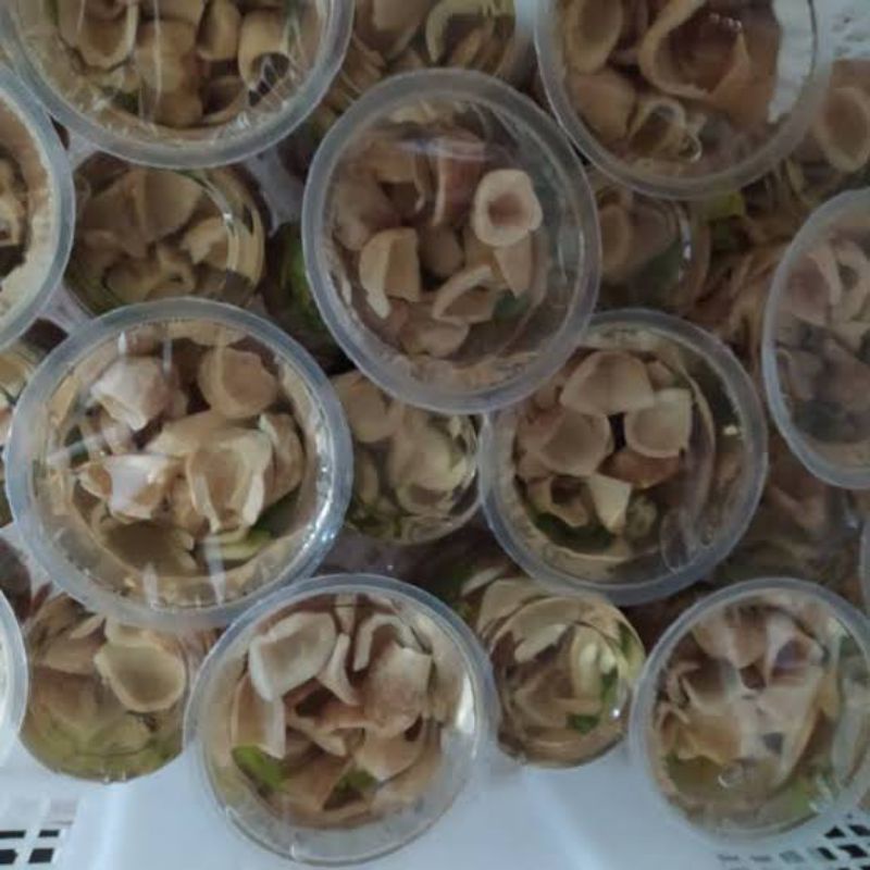 

Jamur Kancing 210gr
