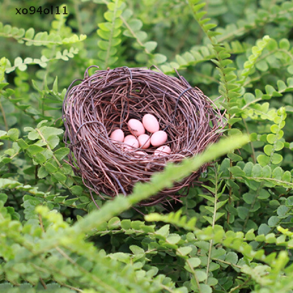 Xo Rumah Boneka Miniatur Hias Sarang Burung Dengan Telur Aksesoris Mini hot OL