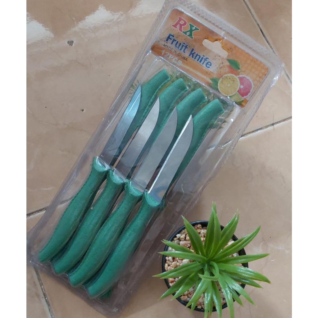 PISAU DAPUR SET 10pcs